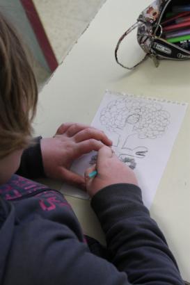 Escale 2 - Plantes et racines (2/4)
