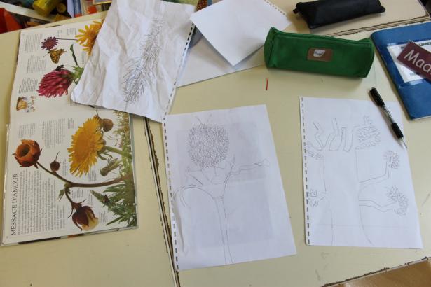 Escale 2 - Plantes et racines (2/4)