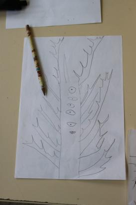 Escale 2 - Plantes et racines (2/4)
