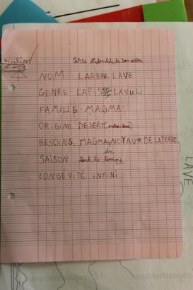 Escale 2 - Plantes et racines (2/4)