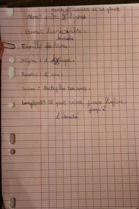 Escale 2 - Plantes et racines (2/4)