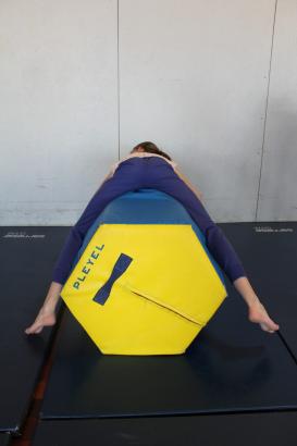 Gymnase