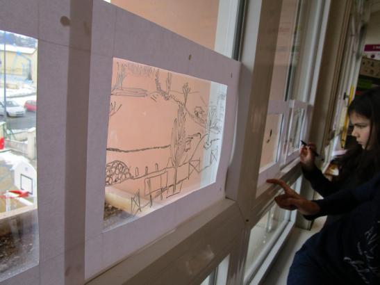 Paysages sur vitre