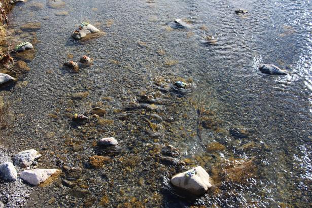 3. Installation sur la rivière : les mots des pierres émergentes