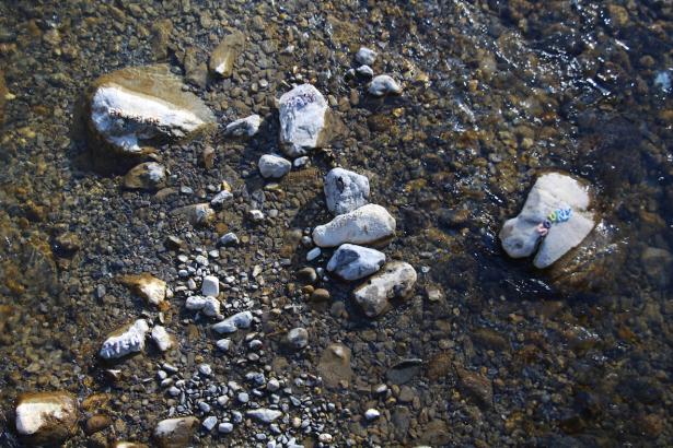 3. Installation sur la rivière : les mots des pierres émergentes
