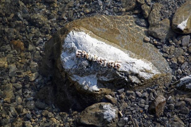 3. Installation sur la rivière : les mots des pierres émergentes