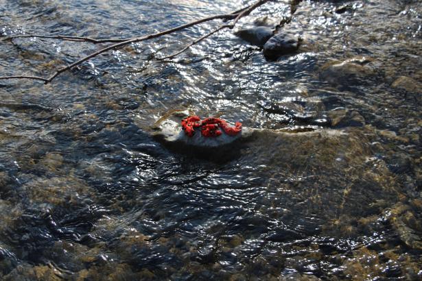 3. Installation sur la rivière : les mots des pierres émergentes