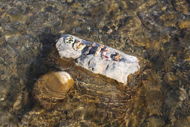 3. Installation sur la rivière : les mots des pierres émergentes