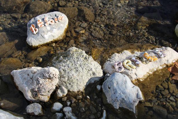 3. Installation sur la rivière : les mots des pierres émergentes