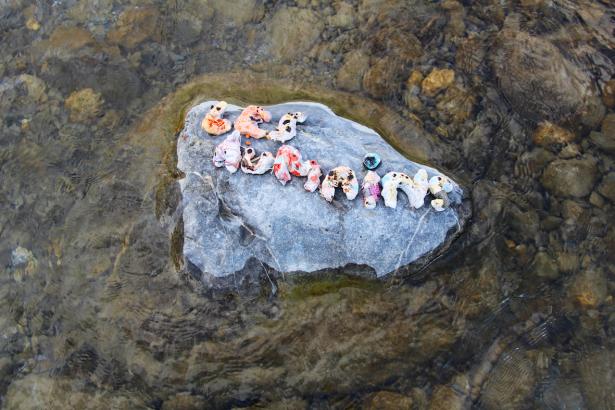 3. Installation sur la rivière : les mots des pierres émergentes