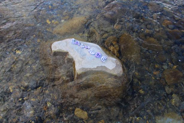 3. Installation sur la rivière : les mots des pierres émergentes