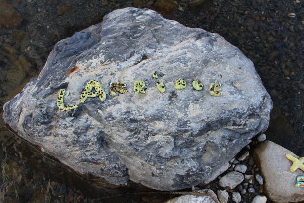 3. Installation sur la rivière : les mots des pierres émergentes