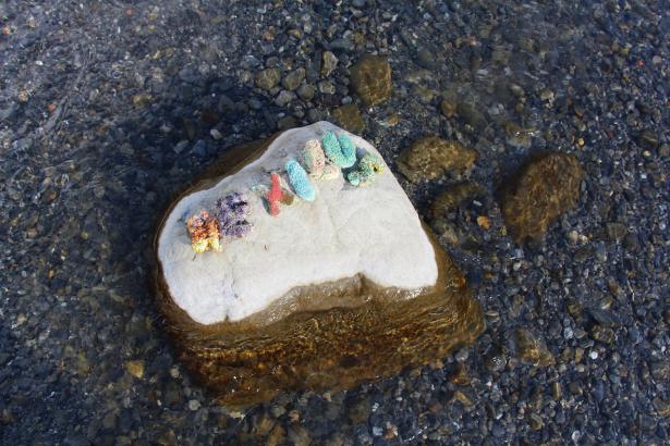 3. Installation sur la rivière : les mots des pierres émergentes