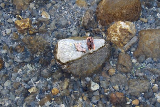 3. Installation sur la rivière : les mots des pierres émergentes