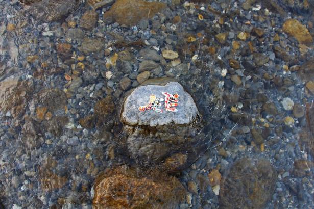 3. Installation sur la rivière : les mots des pierres émergentes