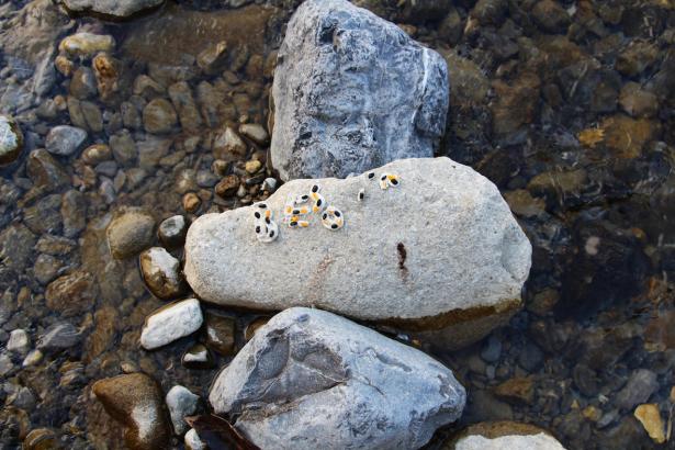 3. Installation sur la rivière : les mots des pierres émergentes