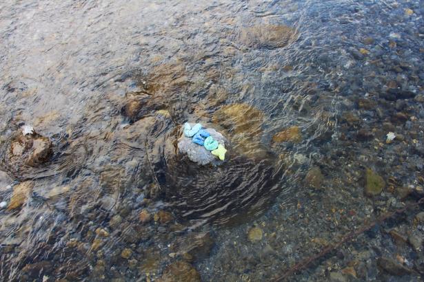 3. Installation sur la rivière : les mots des pierres émergentes