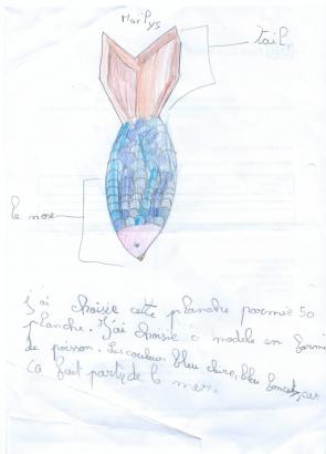 Projets des élèves