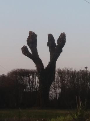  Le Monument au Sommeil