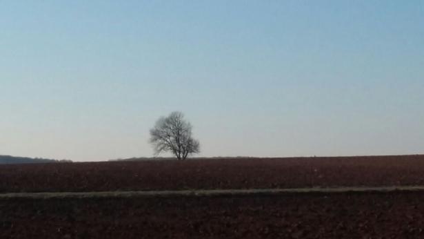  Le Monument au Sommeil