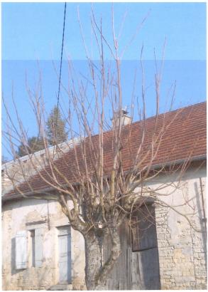  Le Monument au Sommeil