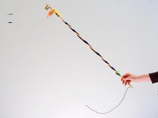 Les outils de chasse des CM2