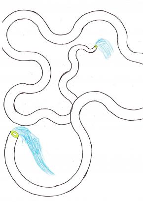 Circuits d'eau et tuyaux