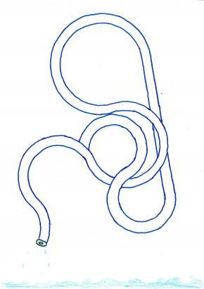 Circuits d'eau et tuyaux