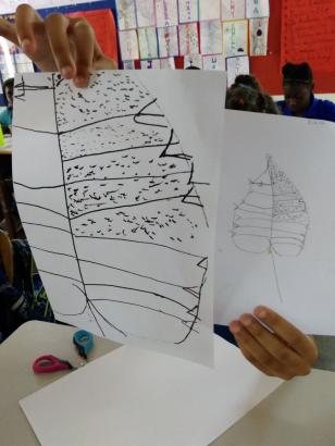 Sortie aux alentours de l'école
