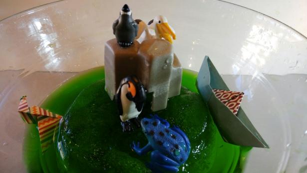 Aquarium studio