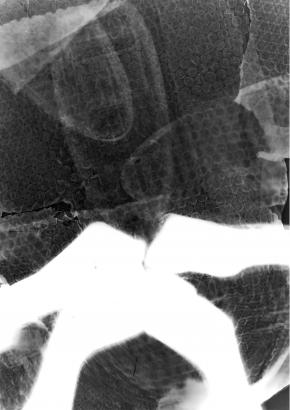 3# PHOTOGRAMMES (des mondes plastiques)