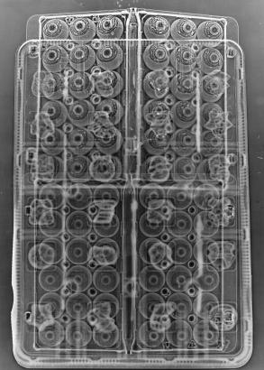 3# PHOTOGRAMMES (des mondes plastiques)