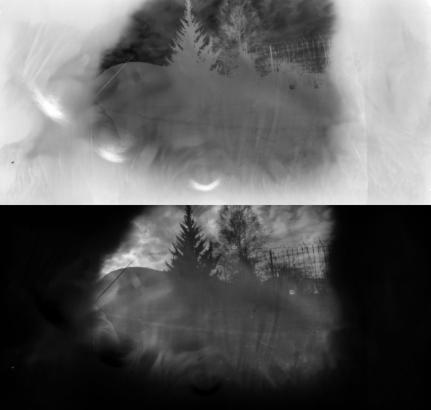 Escale 2 - Plantes et racines (1/4)