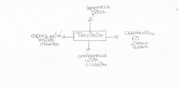 Cartes mentales individuelles faites par deux élèves