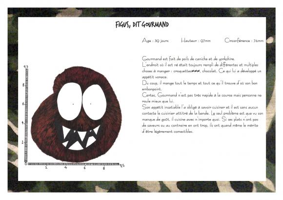 Commando Boules de Poil : présentation