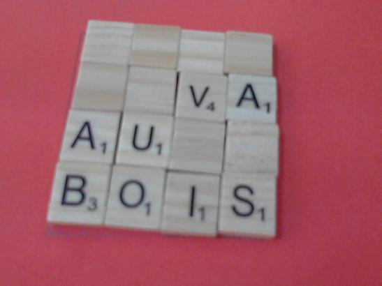 4x4 CM1 + CE2-CM1