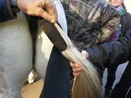 Un toucher bestial :