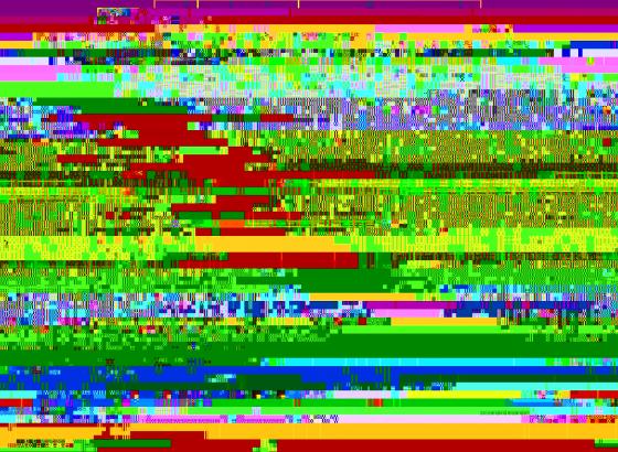 Première semaine : Internet, glitches et ninja !