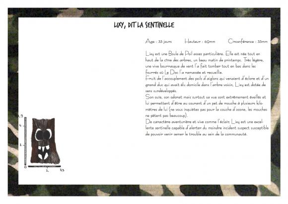Commando Boules de Poil : présentation
