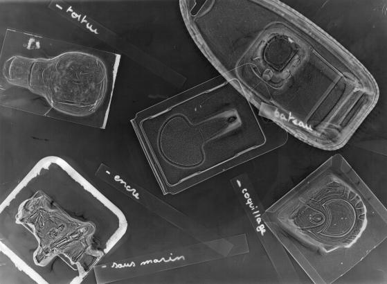 3# PHOTOGRAMMES (des mondes plastiques)