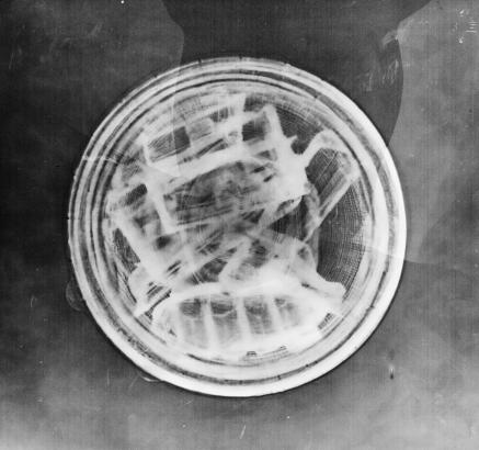 3# PHOTOGRAMMES (des mondes plastiques)