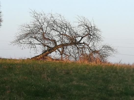  Le Monument au Sommeil