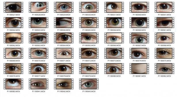 Des yeux / Collection