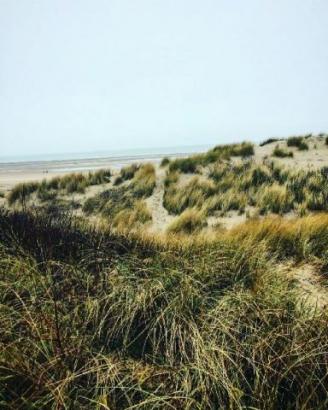 Paysage maritime ( lieux inspirations)