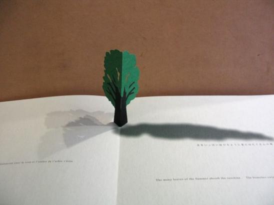 livre référence : "montagnes" de Katsumi Komagata