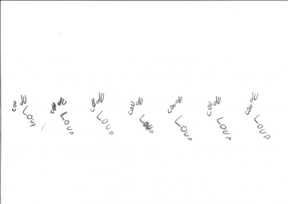 ...transcrite en Récitation ornithologique. 
