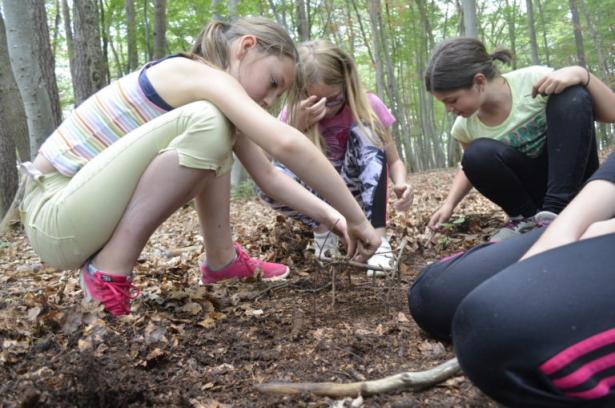 la partie construction en forêt