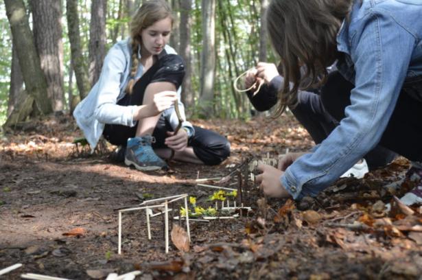 la partie construction en forêt