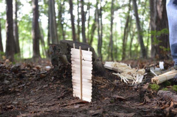 la partie construction en forêt