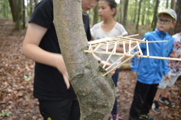 la partie construction en forêt